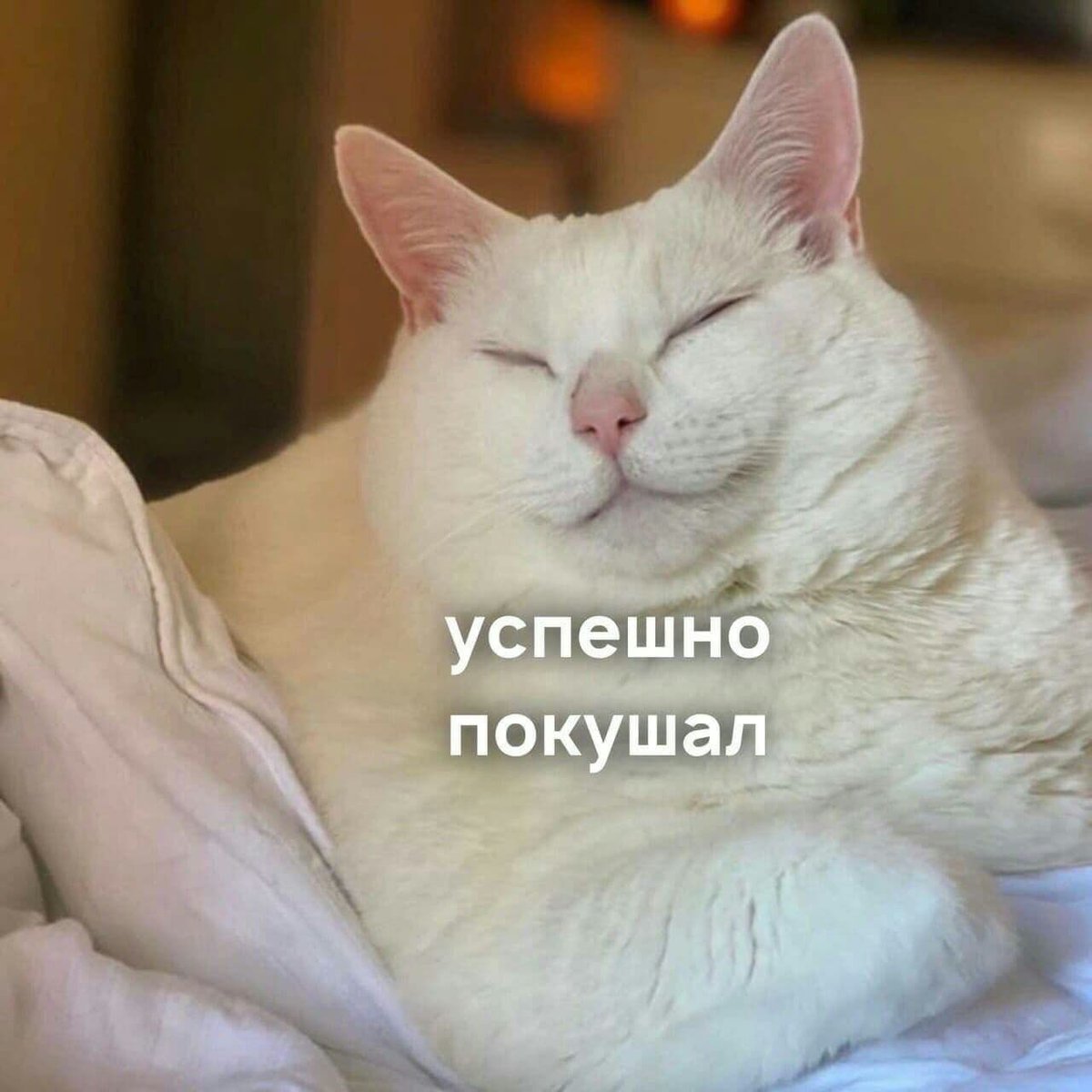 Доброго времени суток!
С вами Радио-Саня ✨
Вот и пятница! Последний рабочий день этого года. Впереди только выходные, да неделя праздников
Обязательно насладитесь таким долгим отдыхом и наберитесь сил
Хорошего дня всем!