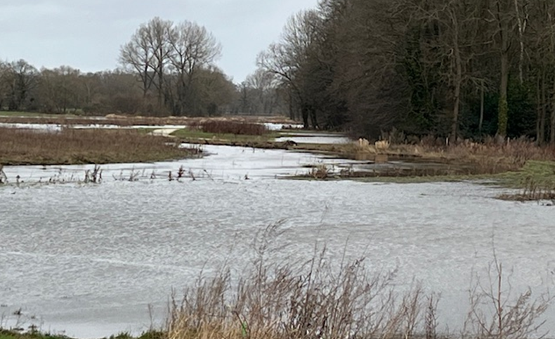 Gemeente Losser tweet media