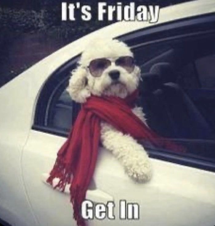 Mammabell15's tweet photo. For those of us that have had to work this week, happy Friday !!!! #FridayFeeling #weekendapproaching https://t.co/joXPwpyCfO