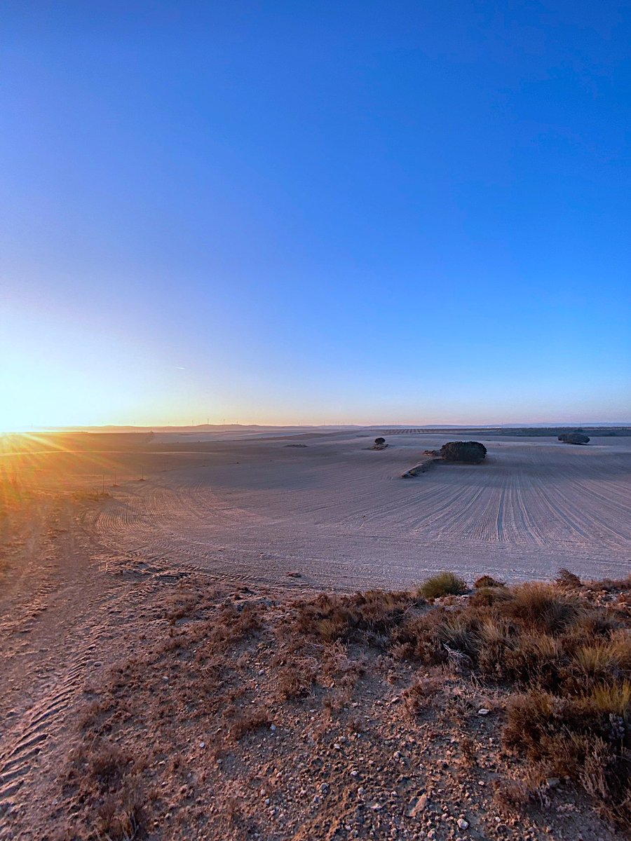 Pedrito Pijamas tweet media