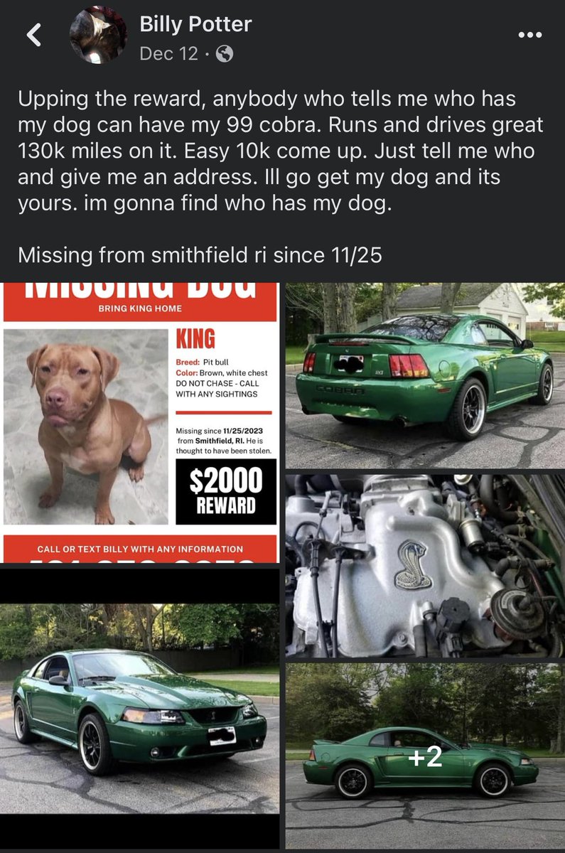 Evil95GT's tweet photo. Someone stole this man’s dog. He’s willing to sacrifice his #mustangcobra for info leading to the return of his #pitbull King. Smithfield, RI area. Please, someone has to know something. 💔😭cc: @acevonjohnson https://t.co/xiwVJ2DfY7