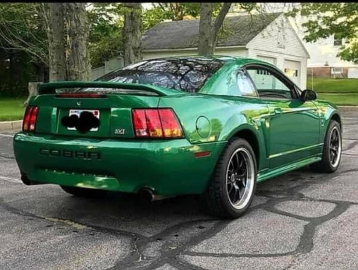 Evil95GT's tweet photo. Someone stole this man’s dog. He’s willing to sacrifice his #mustangcobra for info leading to the return of his #pitbull King. Smithfield, RI area. Please, someone has to know something. 💔😭cc: @acevonjohnson https://t.co/xiwVJ2DfY7