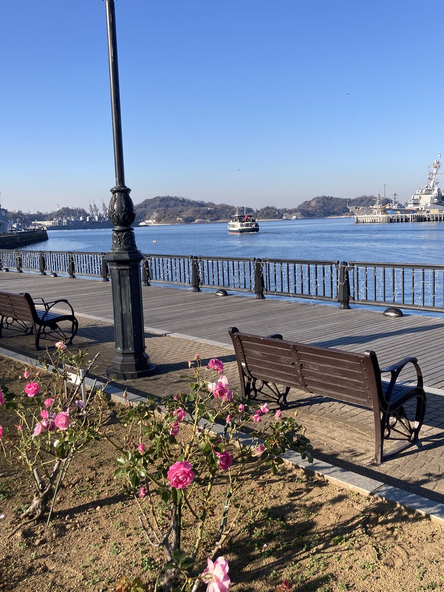 zmit3z8sp's tweet photo. 「ティボディエ邸」でシアターを
見てヴェルニー公園のイルミネーション
へ✨まだまだ帰りたくない年末休み初日
です♪
#ヴェルニー公園
#ティボディエ邸
#イルミネーション https://t.co/Y8zcmrkeiS