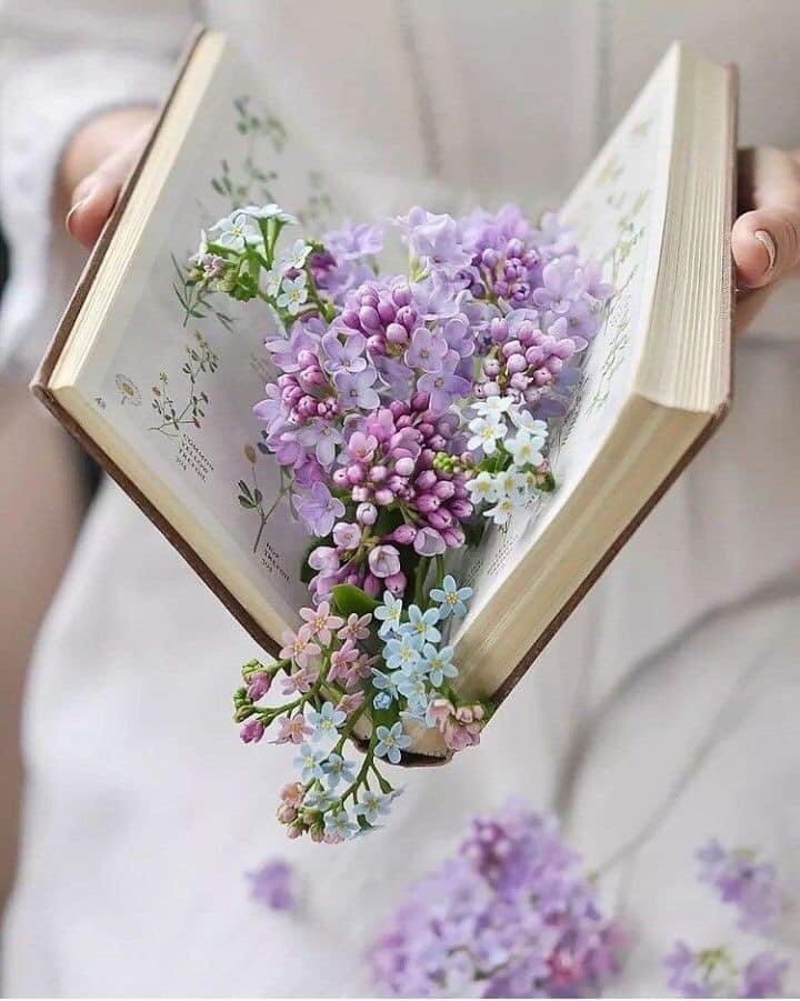 كل الناس تولد ثم تفنى
ووحدك أنت ميلاد الحياة
وكل الناس تذكر ثم تنسى
وذكرك أنت باق في الصلاة
تردده المآذن كل وقت
وينبض بالقلوب إلى الممات 
صلوات ربي وسلامه عليك ياسيدي يا رسول اللهﷺوعلي آله واصحابه اجمعين🧡🌴🌻
#جمعة_مباركة