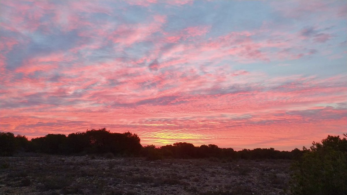 🤩 Así amanecía hoy en la sierra de #SantaPola!
🚶🚶‍♂️🚶‍♀️ ¿Conoces nuestras rutas de senderismo? Aquí las puedes ver  ➡️bit.ly/Rutas_Senderis…

#SienteSantaPola #CostaBlanca