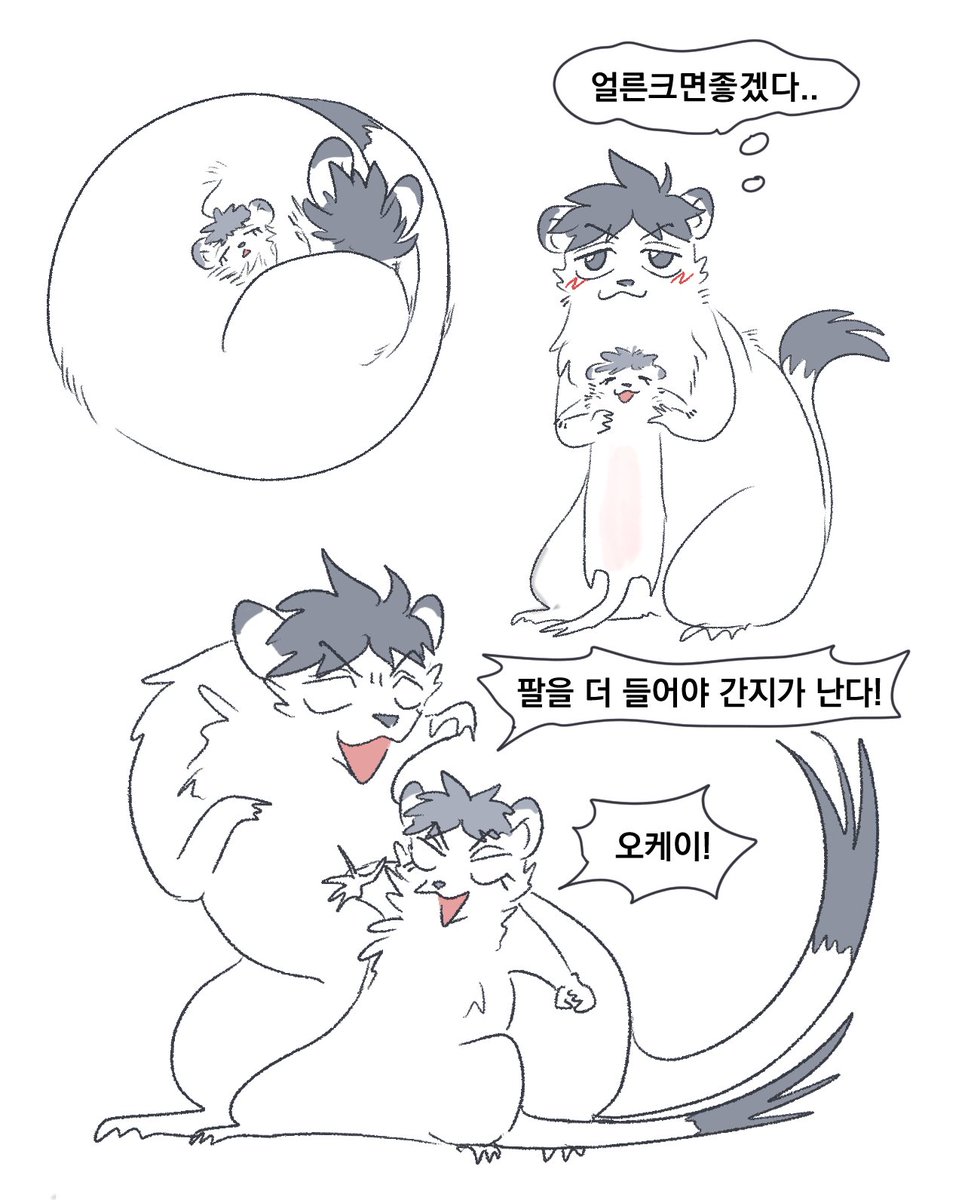 스핀요청 쪽형제