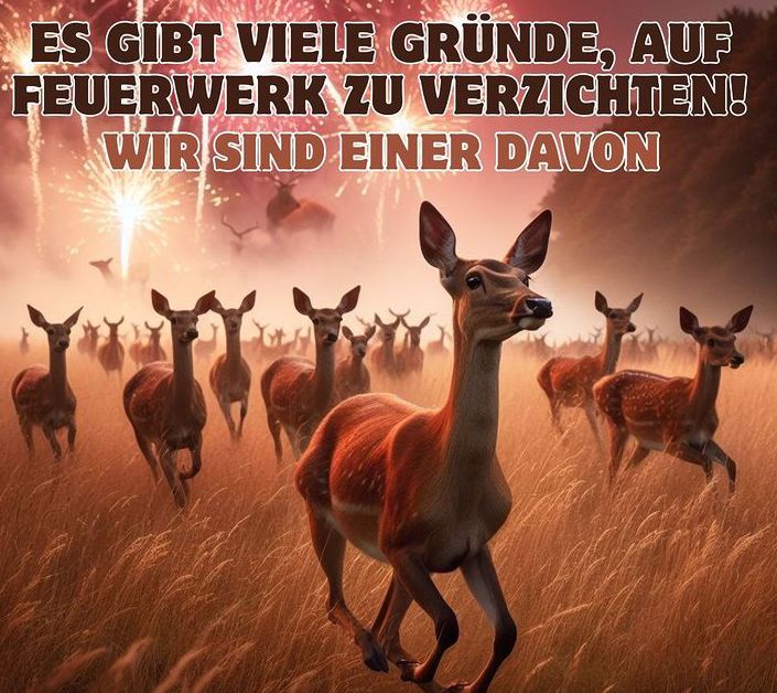 Da bin ich wieder und direkt mit einem jährlichen, wichtigen Anliegen 😅
Jedes Jahr an Silvester leiden und sterben Tiere für durchschnittlich 15 Minuten sinnfreie Böllerei.
Jedes Jahr aufs Neue werden Vögel nachts von diesem "Inferno" aus dem Schlaf gerissen und fliegen panisch
