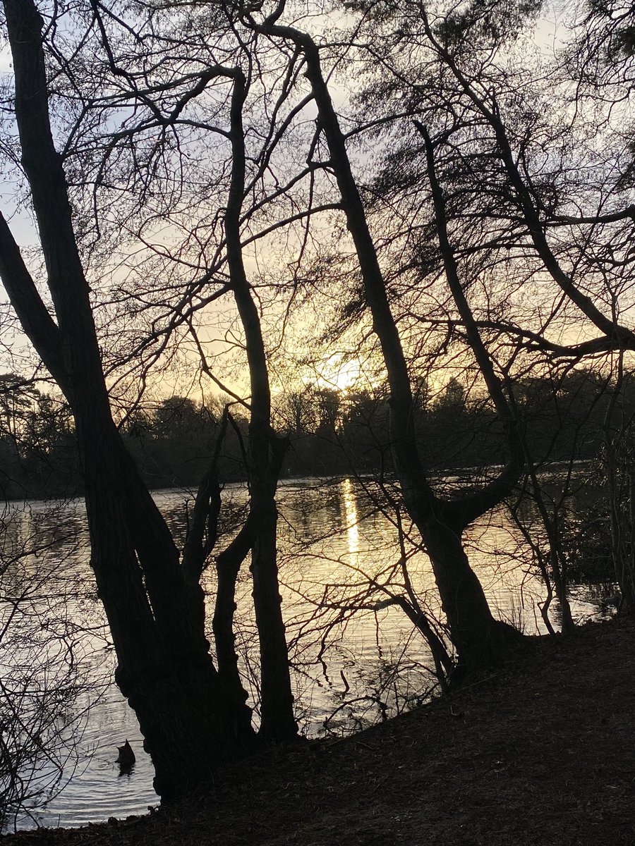 Hello Friday from a sunny Hartsholme Park