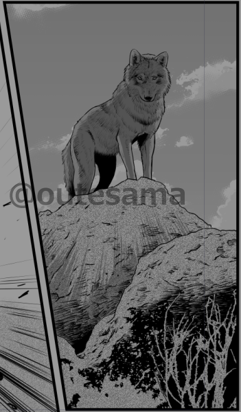 個人的には肉食動物の狩りのシーンは、描き手として最も描き甲斐があるというか、張り切るところです。 動きまわるし作画は大変だけど、だからこそ描き甲斐があります。 昨日描いた狩りのシーンを今日見ると直したくなる… ので、直す。