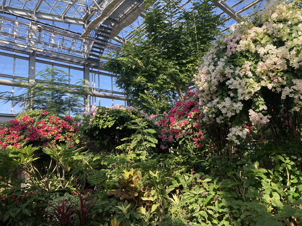 Phil ಠ_ಠ tweet media