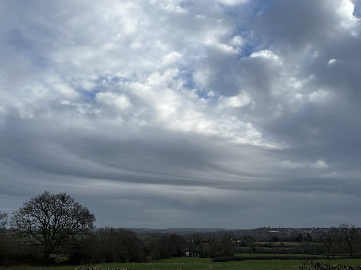 FloralRainbowAW's tweet photo. Looking up at the clouds on Day5 #12DaysWild on our #MiddayWalk Poplars swaying in the wind, was 4 but one blew down over Christmas, Jackdaws calling, Buzzard, Starlings & Sparrows too, definitely colder today 🥾🍂🧣🌾 https://t.co/9mZGIB9Mca