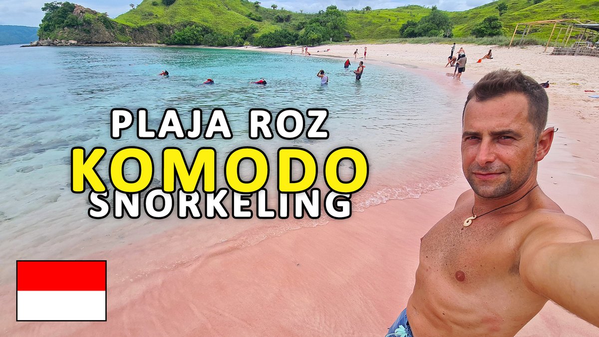 LINK VIDEO: youtu.be/kq_uZy_LEbM
Ziua 9: Snorkeling prin Parcul National Komodo – Pink Beach, Manta Point, Makassar Reef & Turtle Point
🌍🎥🇮🇩 🛵🌅🌴🏝⛰🕶
#roadtrip #trip #indonesiatrip #2roti #indonezia #indonesia #komodo #komodotrip #komodopark #komodoislands #pink #manta