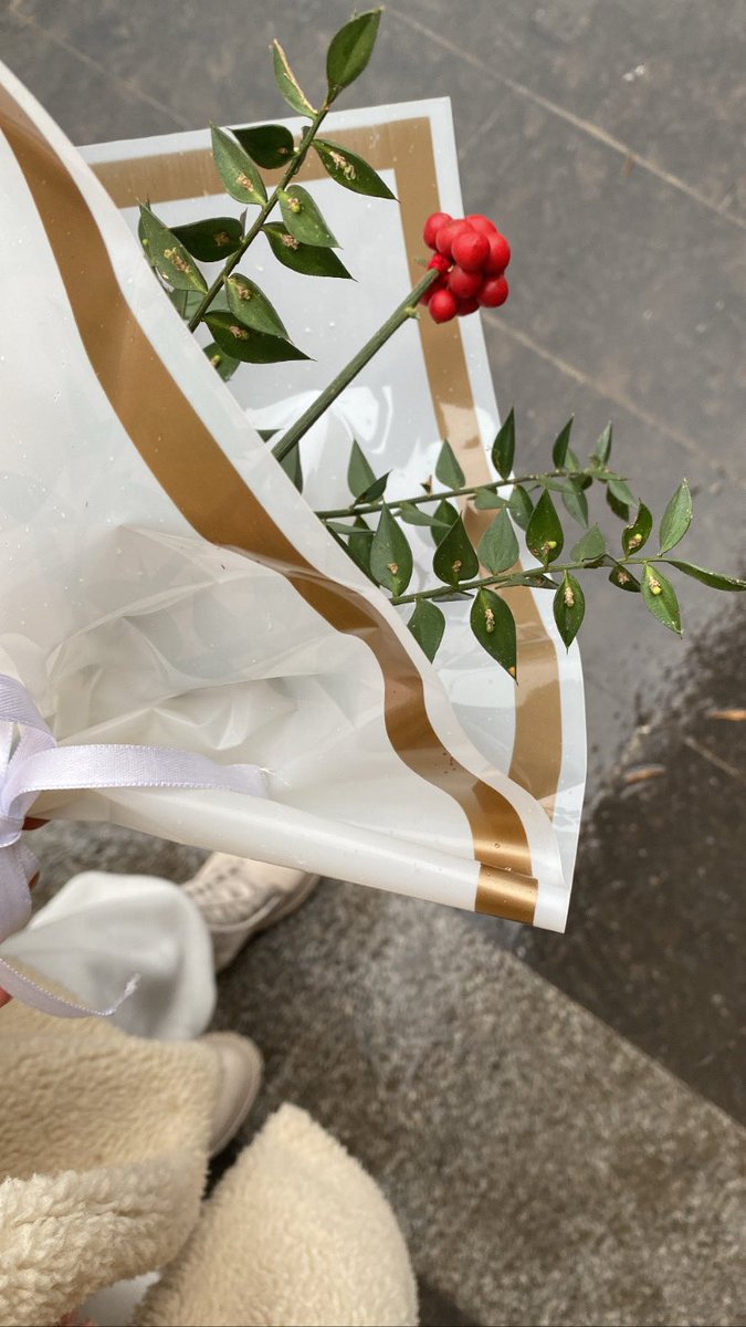 Kokina aldım umarım şans getirir🪽🤍