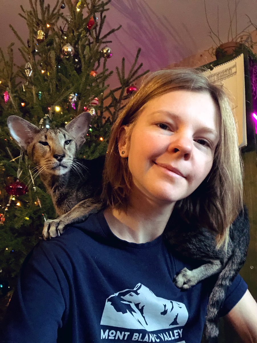 Год дракона грядёт, я уже завела одного, а вы?