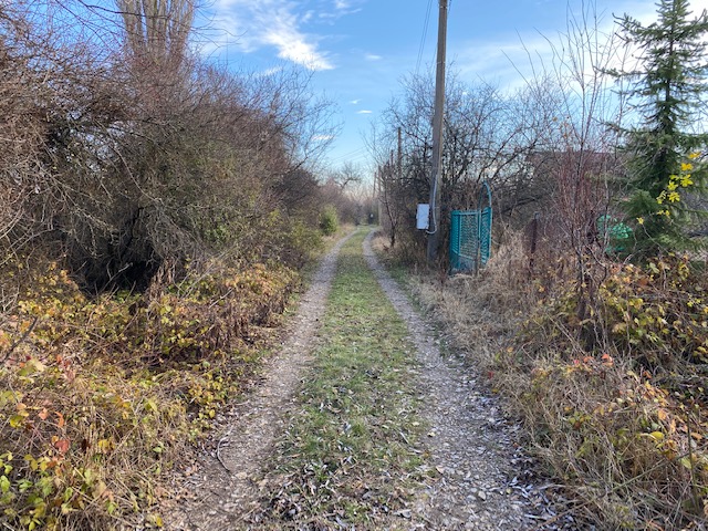 Veliko Studio tweet media