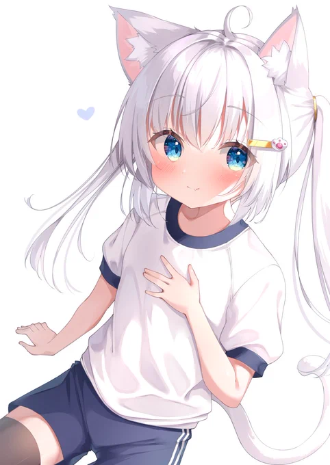 #今年も残りわずかなのでお気に入りの4枚を貼る 白ネコ姉妹じゃー! 