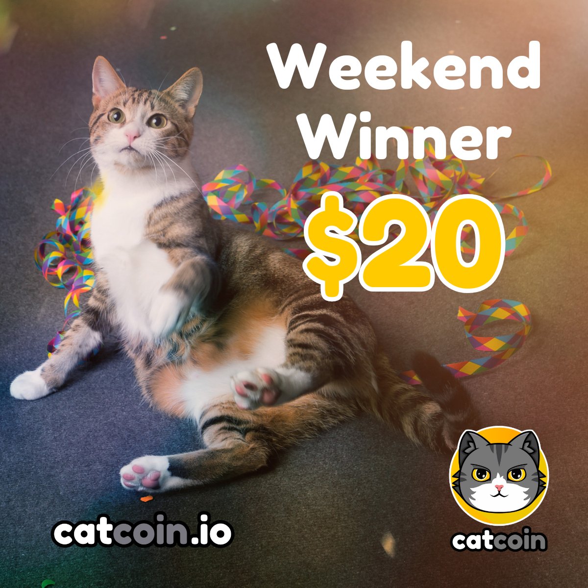 Weekend Winner - $20

• Follow <a href="/officialcatcoin/">Official Catcoin</a>
• Retweet
• And comment #Catcoin #USDT #giveaway

Ends December 30th at 10am UTC