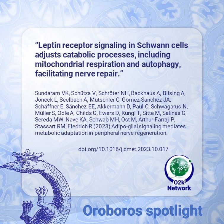 Oroboros Instruments tweet media