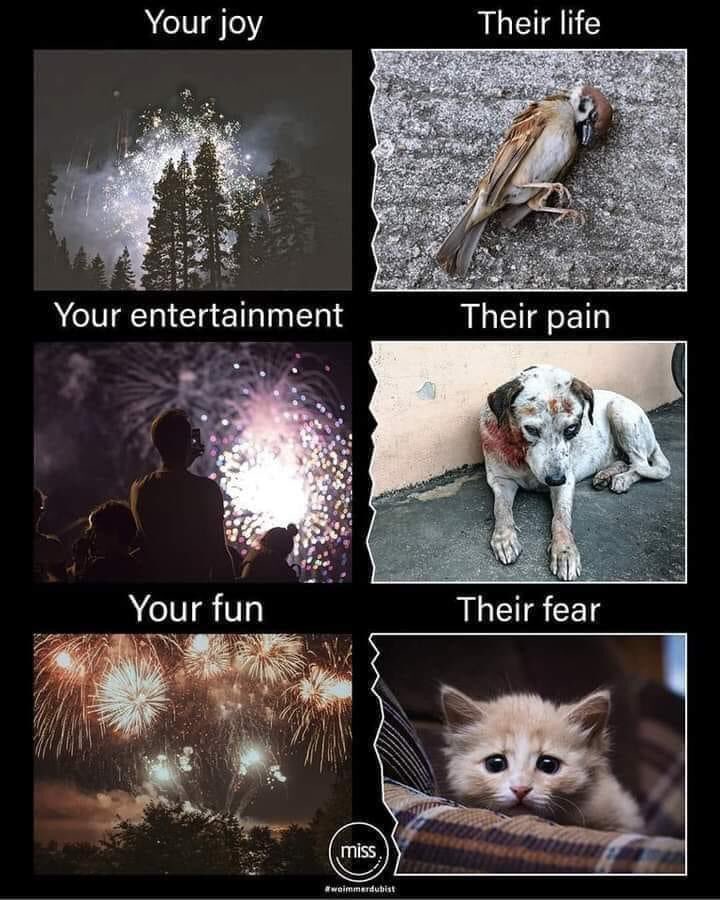 Think about their pain before your joy #NewYear2024 #Fireworks