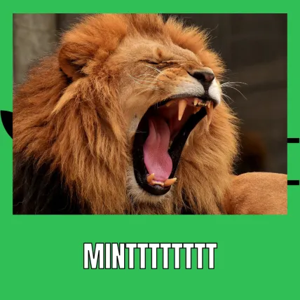 termination1995's tweet photo. @Mint_Blockchain #MintBlockchain https://t.co/QEBJ37arDU
