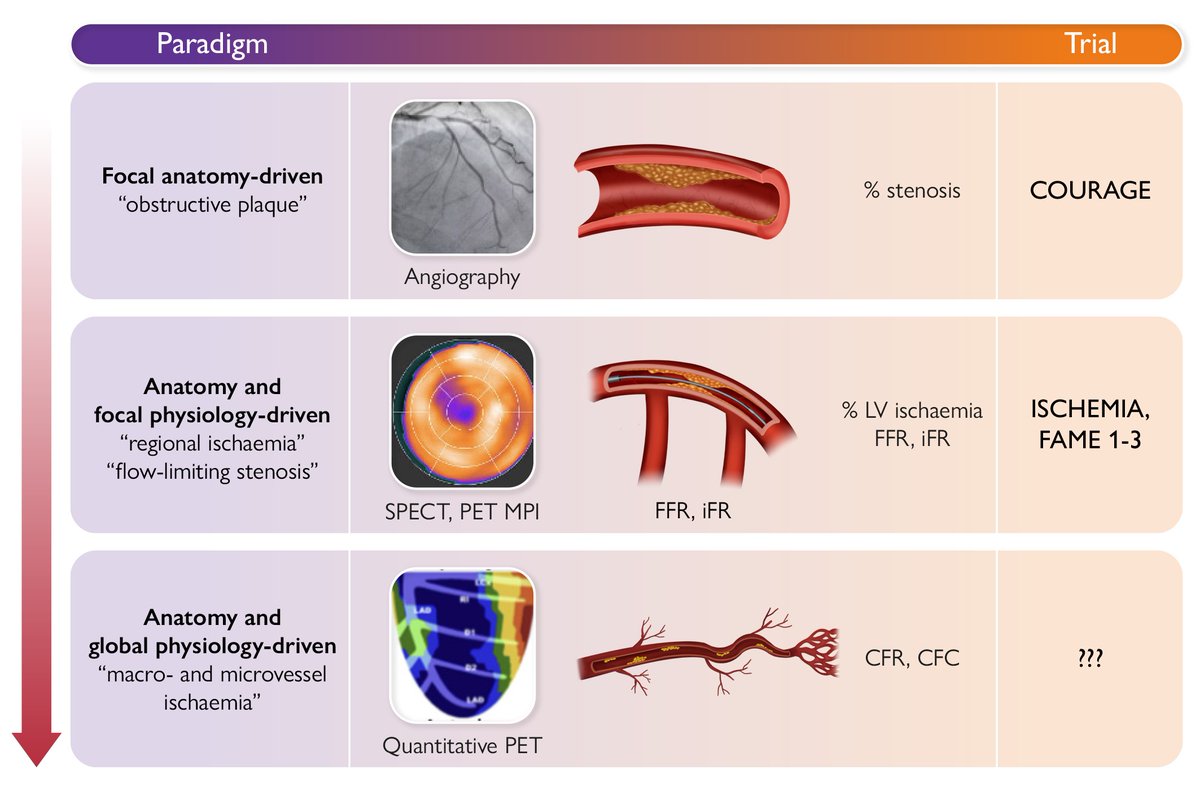 Evolving paradigms for revascularization strategies in chronic coronary disease: time to test total heart flow. Read more in #EHJ. doi.org/10.1093/eurhea… #CAD #phisiology #cardiotwitter @ESC_Journals @escardio