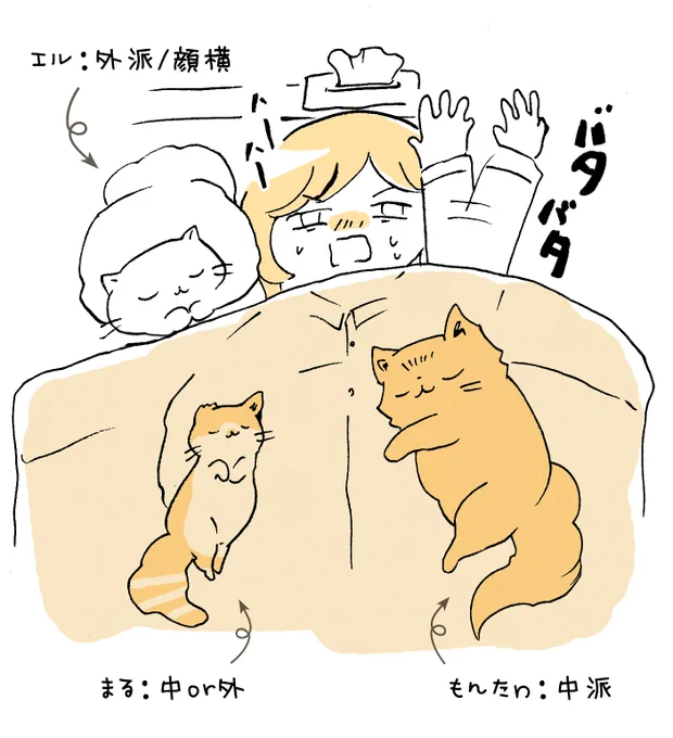 これは先日描いた寝る時の猫達の定位置と発熱して枕元のティッシュを取りたくてバタバタしている図。 