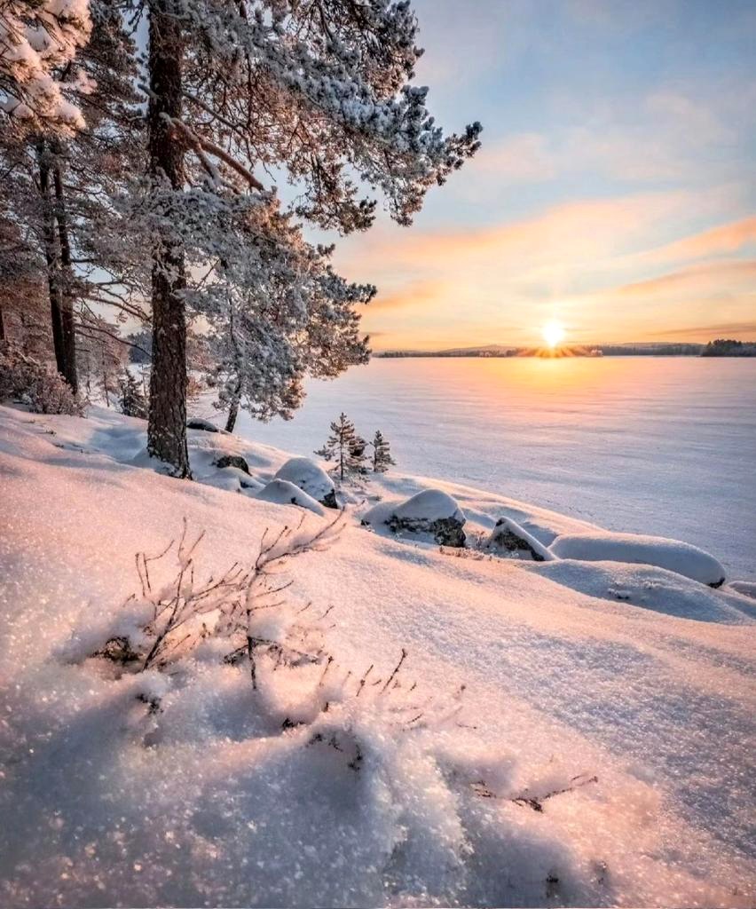 Morning light ❄️☀️💛