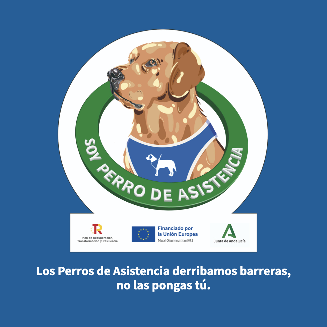 ¡Hola! #SoyPerrodeAsistencia y mi trabajo es apoyar a personas con discapacidad, trastornos del espectro del autismo, epilepsia o diabetes, contribuyendo así a mejorar su autonomía personal y su calidad de vida. Descubre más sobre como apoyarme 👉 andaluciaperrosdeasistencia.com