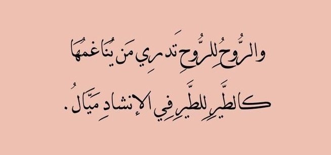 ❝Setiap ruuh tau jiwa mana yang selaras dengannya, bagaikan burung yang jatuh cinta pada melodi.❞