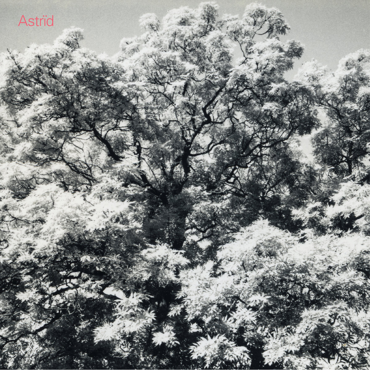 Un 7e album aussi intense que les précédents pour Astrïd... Et encore une pépite de la part d’un groupe trop rare, mais ô combien talentueux. ❤❤❤❤
hop-blog.fr/astrid-always-…
<a href="/CyrilSecq/">cyril secq</a>