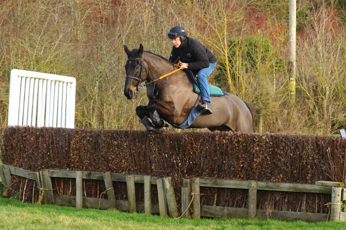 Two legends in my schooling field yesterday .My assistant Brendan Powell and lead horse -the near 18 yr old Ballypatrick.You can’t beat experience but I’m not lending them to anybody !