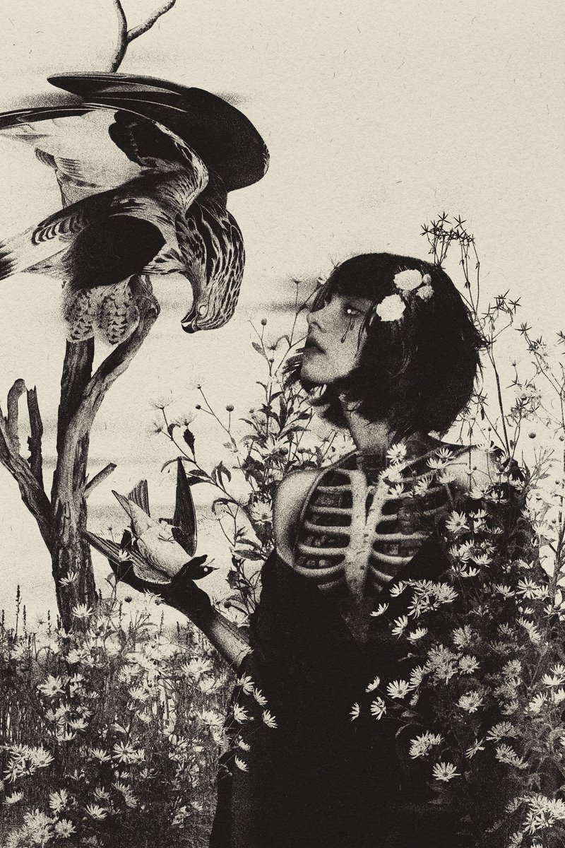 Gm💀

Oculus vitae
1/1 - Reserve price 6 $SOL