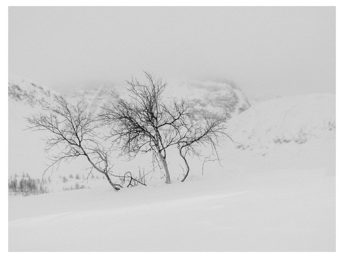 Wintertime - enjoying the outdoor life