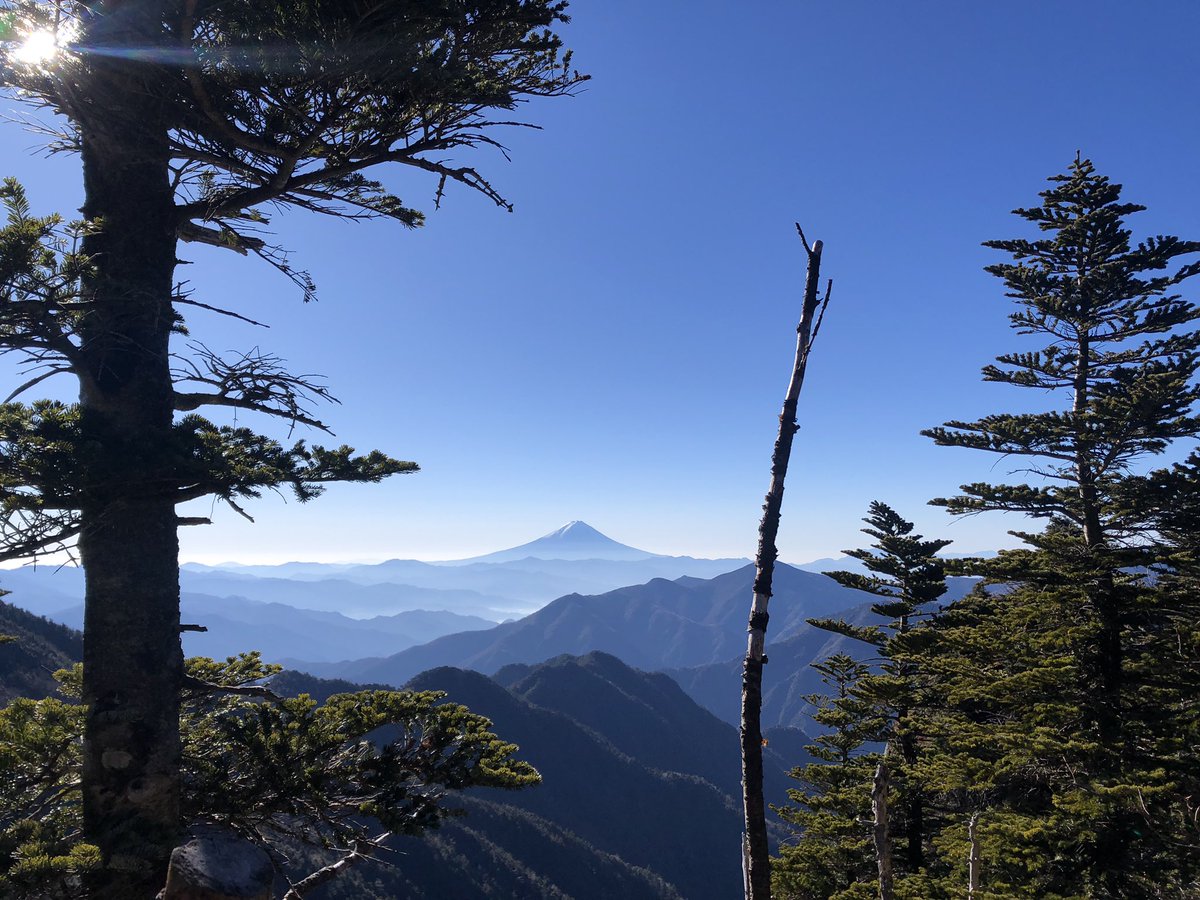 岡本達也 tweet media