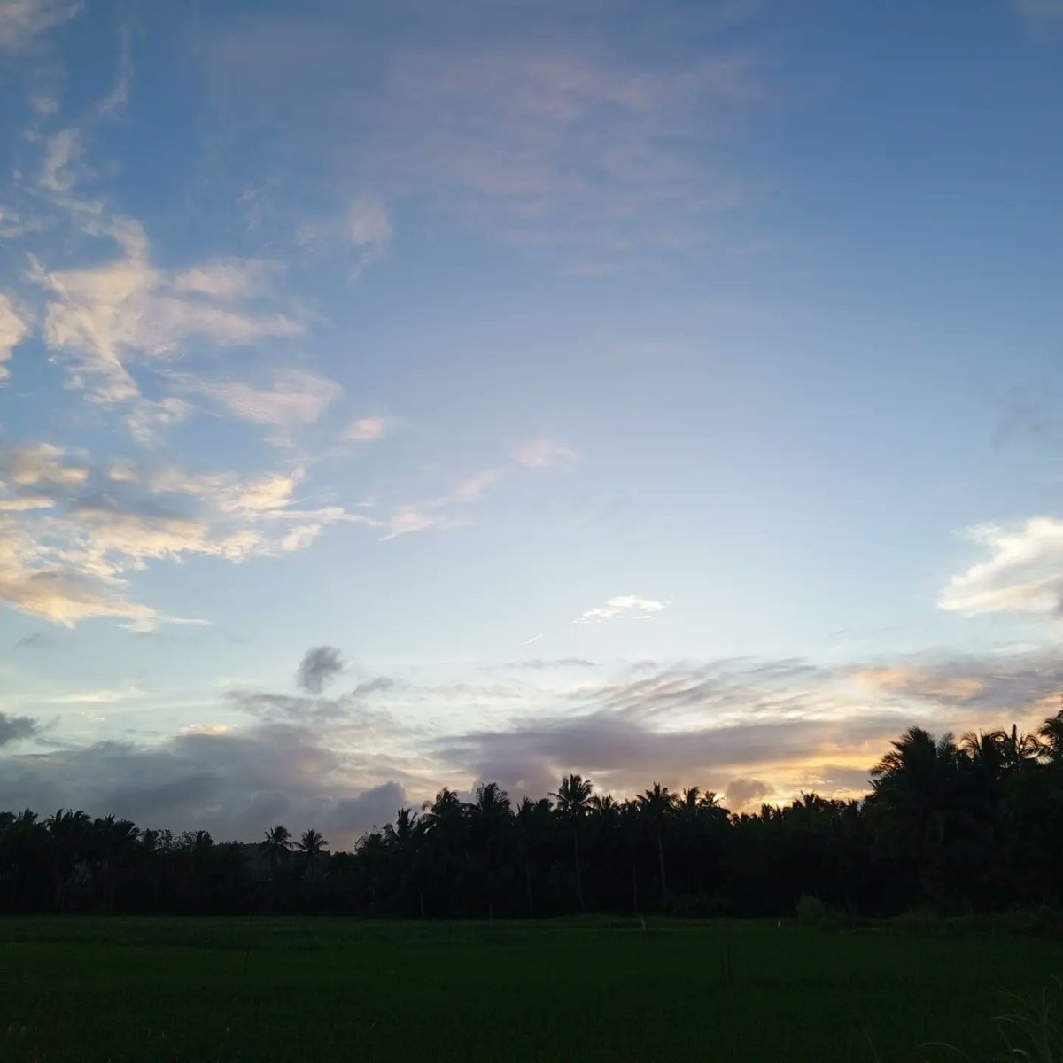 slimyyogi's tweet photo. my kind of therapy: https://t.co/Zy7xDBNlkU