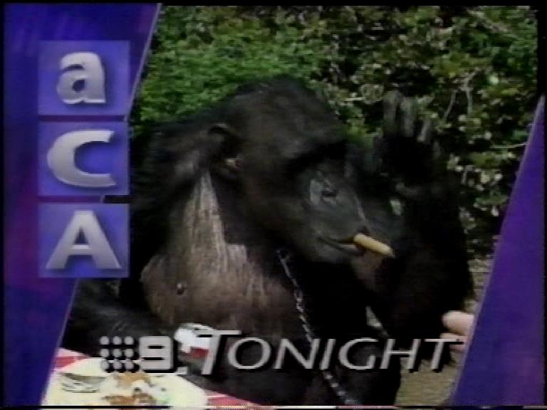 FlemishDog's tweet image. 