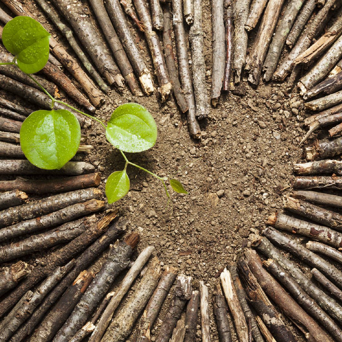 📻🎶📚 22h en <a href="/radio3_rne/">Radio 3</a>

#LaLiBéLuLaR3 #VuelaSinMotor hacia el corazón de la tierra con textos y versos de <a href="/DuduFdez/">DuduFdez</a> <a href="/escoffet/">eduard escoffet</a> con <a href="/bradien/">Bradien</a> <a href="/juanand53687490/">juan andres garcia roman</a> y <a href="/MAVazquez22/">Miguel Ángel Vázquez ⚡️🌿</a> 

🎶#DjπTito pinchará <a href="/FundacionRobo/">Robo</a> <a href="/NOWEnsemble/">NOW Ensemble</a> <a href="/manusija/">Manu Sija</a> <a href="/HolaNunatak/">Nunatak</a> <a href="/sotesound/">Sote</a> <a href="/rugerlyrics/">ruger hauer</a>...

>¡<