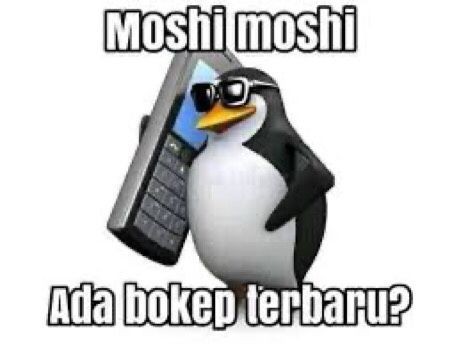 cuy #anitwt mutualan yok. akun lama baru aktif lg hh, help rt ya, thank you