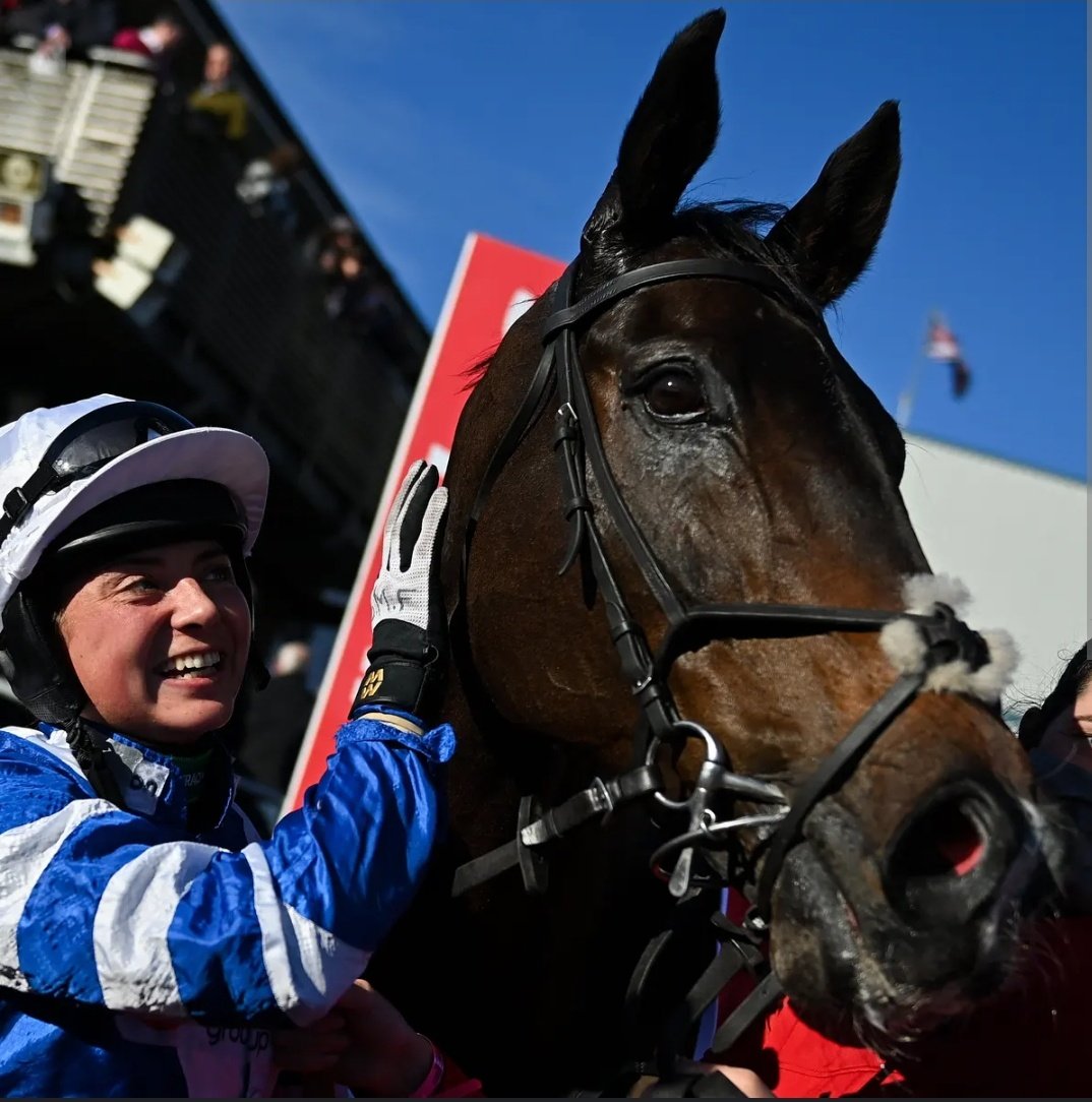 racingblogger's tweet photo. 💙 Happy Retirement FRODON.

🏇 52 career starts
🎯 19 wins
🥇 G1 Down Royal Champion Chase
🥇 G1 King George Winner
🥇 G1 Ryanair Chase winner
🥇 Six Grade 2 wins
💙 5 wins at Cheltenham 
💷 £1,177,305 in prize money

👏 FRODON was an absolute legend who had a marvellous relationship with Bryony Frost for trainer Paul Nicholls.