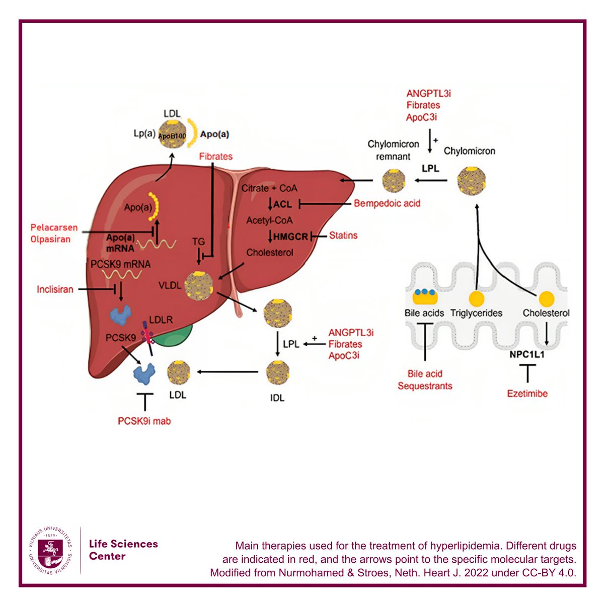 VU Life Sciences Center tweet media