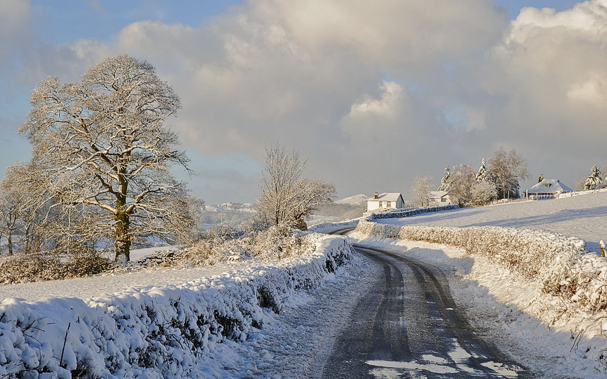 MaureenPlatts's tweet image. Winter can be hard but it sure is bonny.