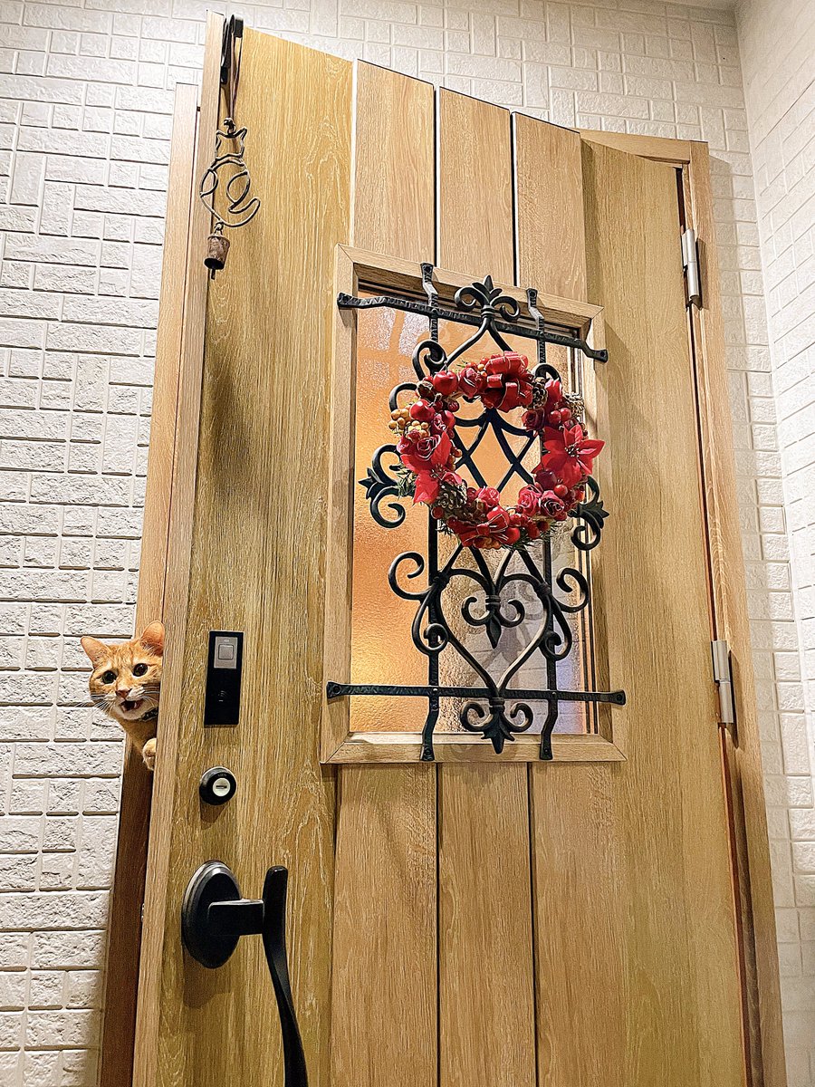 no humans door cat flower red flower traditional media open door general  illustration images