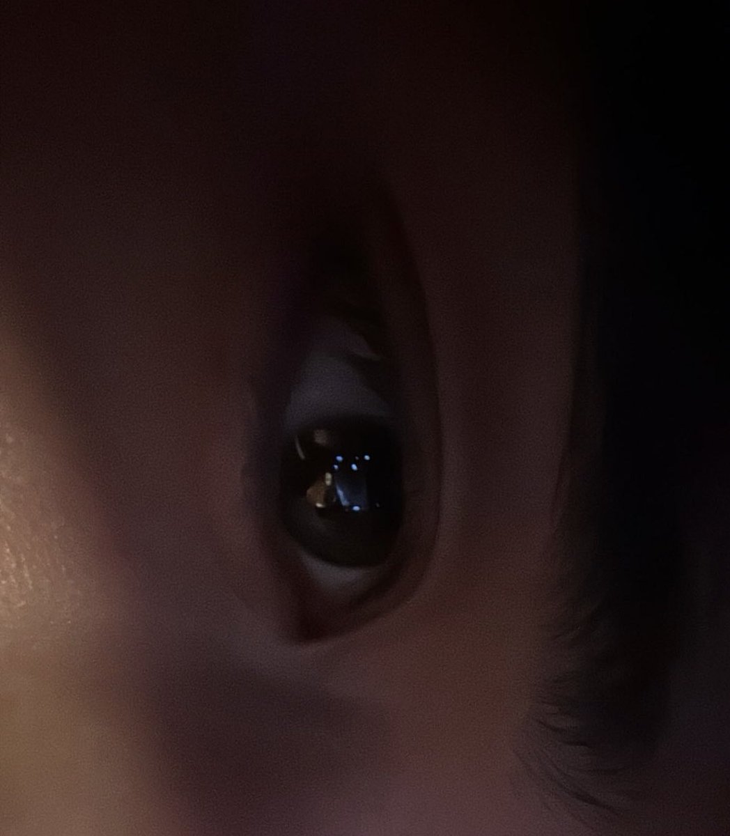lucasdongsaeng's tweet photo. His eyes are my favorite🧡

#SoloistLucas #LUCAS #黄旭熙 #WeLoveYouLucas https://t.co/EaaqpUPhil