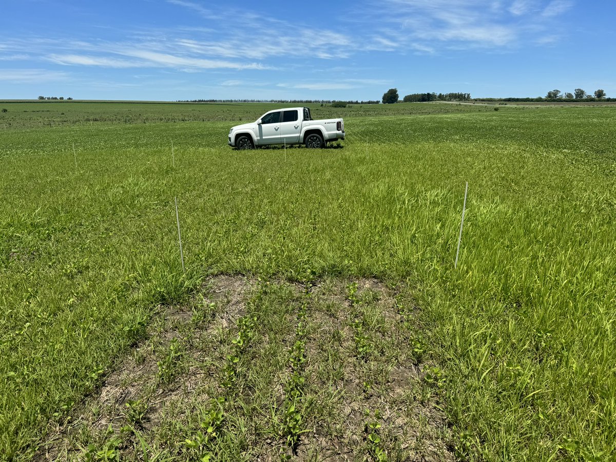 🛠️ probadas, dan soluciones recomendables.