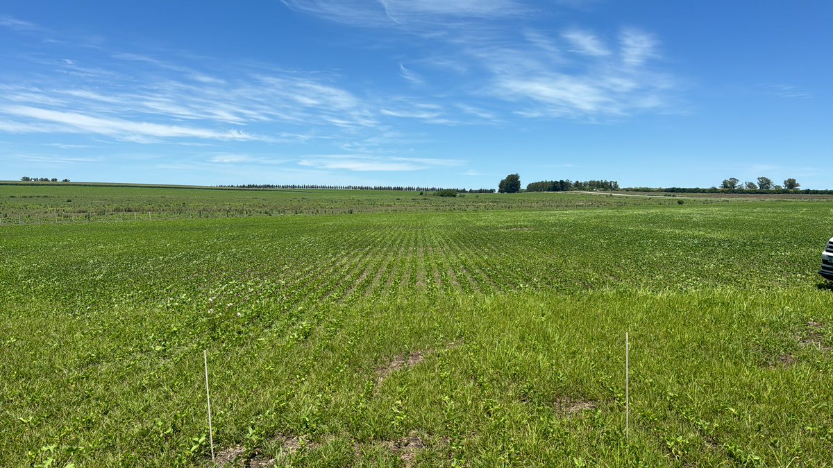 AM agro tweet media
