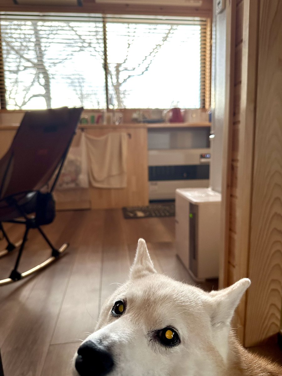 Aggregatlugh's tweet photo. 目ん玉、オレンジカラーに
なっとるやん🟠 https://t.co/XGw8o8dJaQ