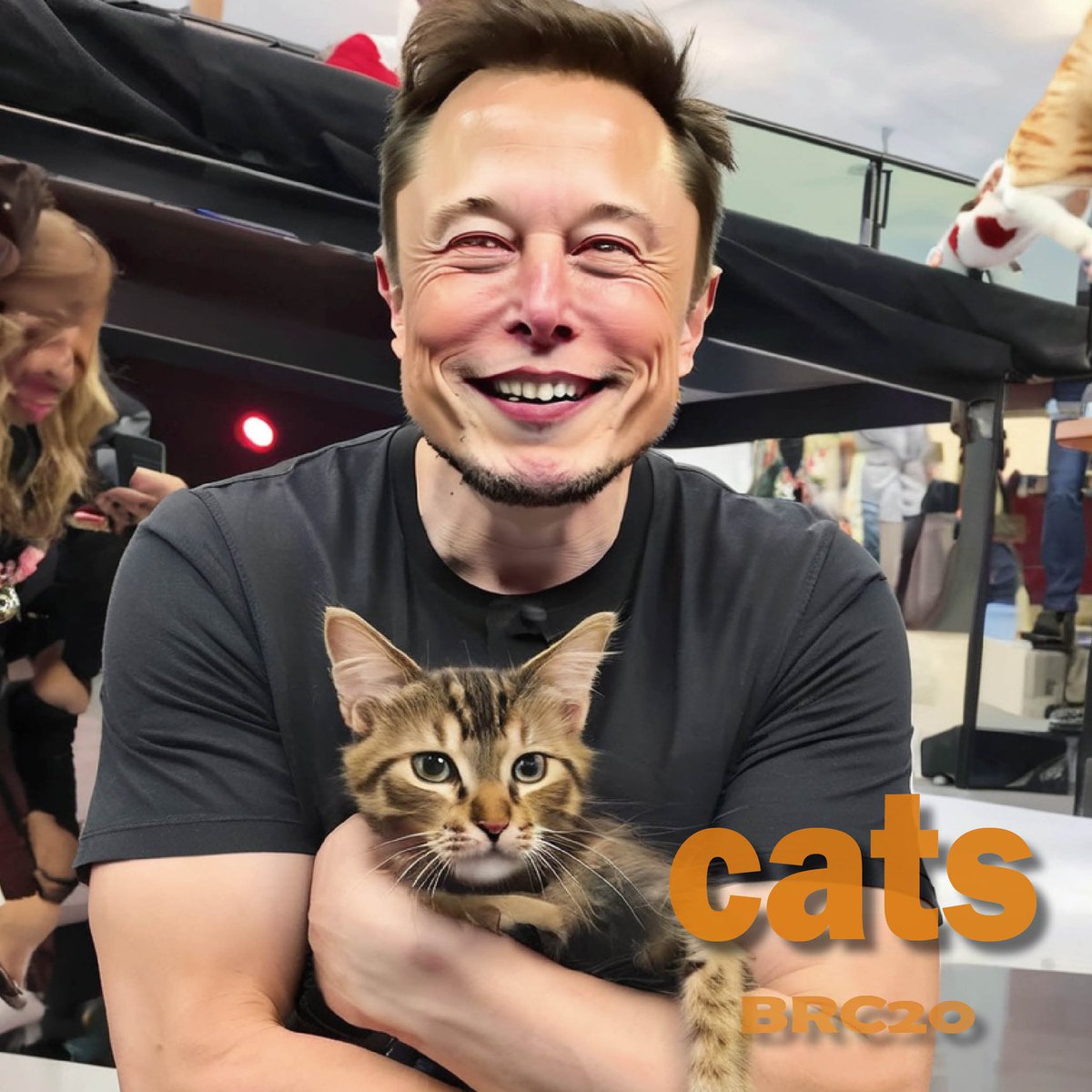 <a href="/anndylian/">Anndy Lian</a> 如果你买了 $cats，并且愿意和我们一起推广它，我们一定能超越 $rats。我认为猫 $cats 是最好的memecoin。猫是人类的好朋友，深受全球大部分人的喜欢。