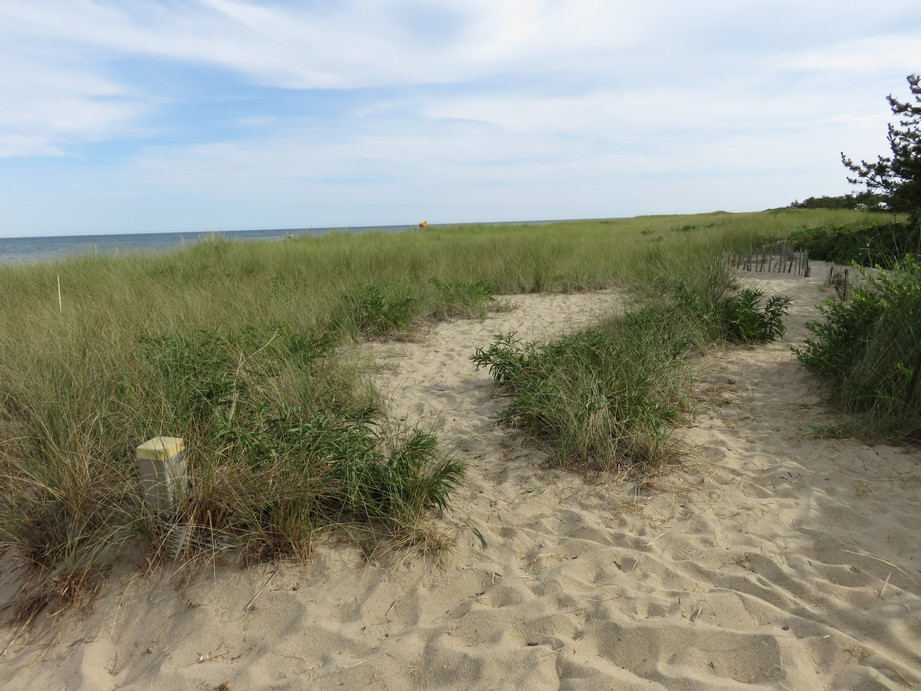 MI_TU's tweet image. Cape Code - Nantucket

amzn.to/3tBqU9k

bit.ly/2r6JcZT

tu-mi.it/2023/12/cape-c…

#usa #capecode #nantucket #adv

bit.ly/2Haz3Zo

bit.ly/3AWCLOw