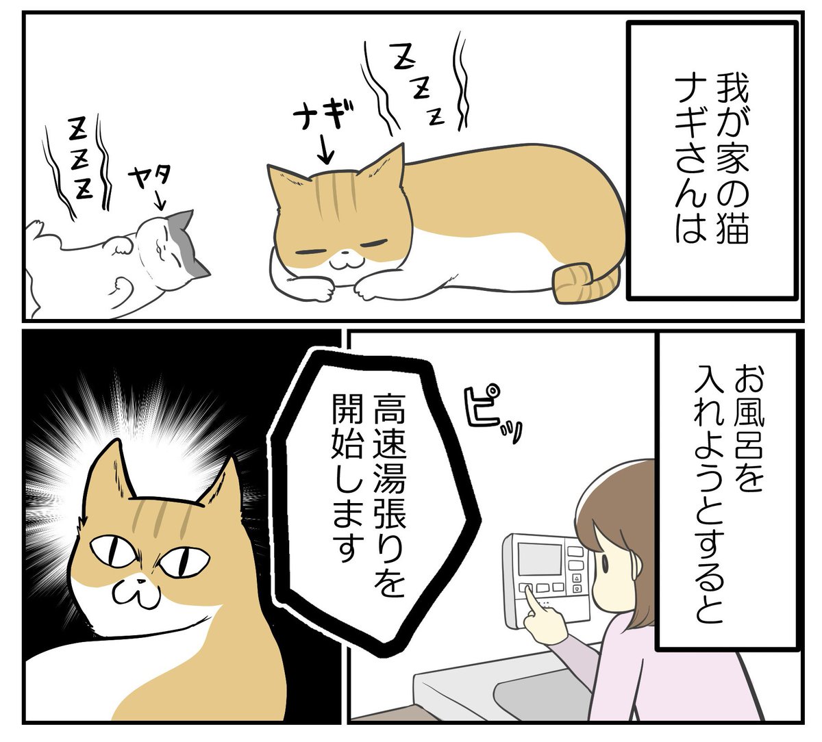 ギリギリを楽しむ猫に事件発生(再掲) (1/3)  #漫画が読めるハッシュタグ