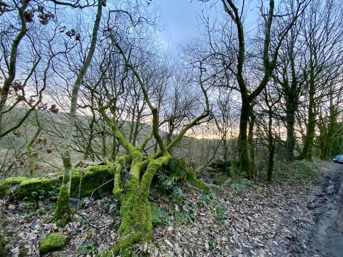Andy666666's tweet photo. @ChadWeather #weatherwatch #weather #uppermil #dec29th https://t.co/8pCqlfOYCG